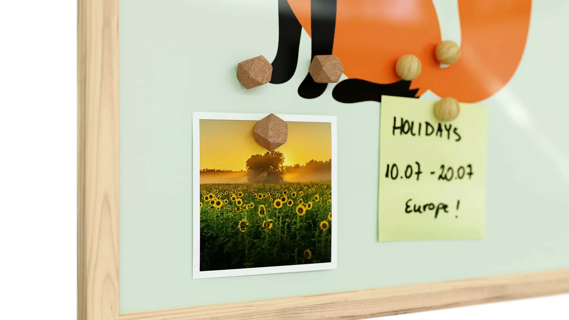 Fuchs, Pastellfarben, 60x40cm im Naturholzrahmen, Magnettafel – Bild 5