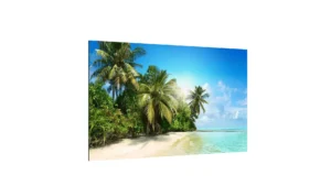 Glas Magnettafel Urlaub Palmen Ferien Strand Sommer Sonne Meer 60x40cm Glasbild Memoboard aus Glas Glastafel mit Urlaubs-Motiv Magnetwand zum Beschriften Magnetische Tafel Wanddekoration Wandbild