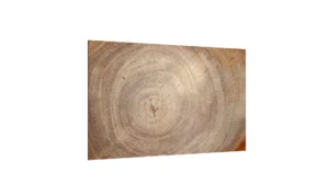 Glas Magnettafel Baumstamm Natur Baumkern 60x40cm Glasbild Memoboard aus Glas Glastafel mit Baumstamm-Motiv Magnetwand zum Beschriften Magnetische Tafel Wanddekoration Wandbild