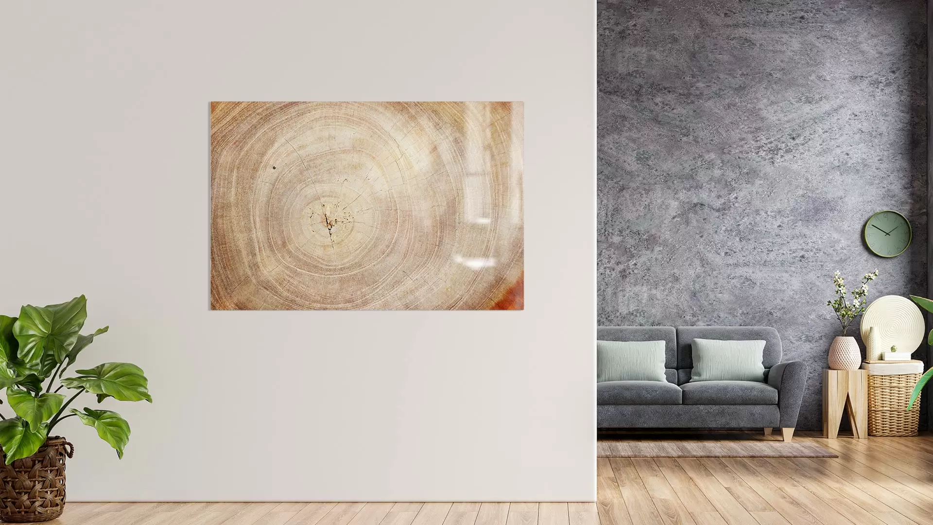 Glas Magnettafel Baumstamm Natur Baumkern 90x60cm Glasbild Memoboard aus Glas Glastafel mit Baumstamm-Motiv Magnetwand zum Beschriften Magnetische Tafel Wanddekoration Wandbild – Bild 3